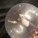 flaminglips09
