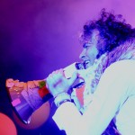 flaminglips15