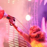 flaminglips17