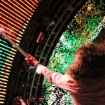 flaminglips20