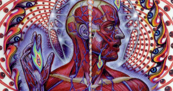human body